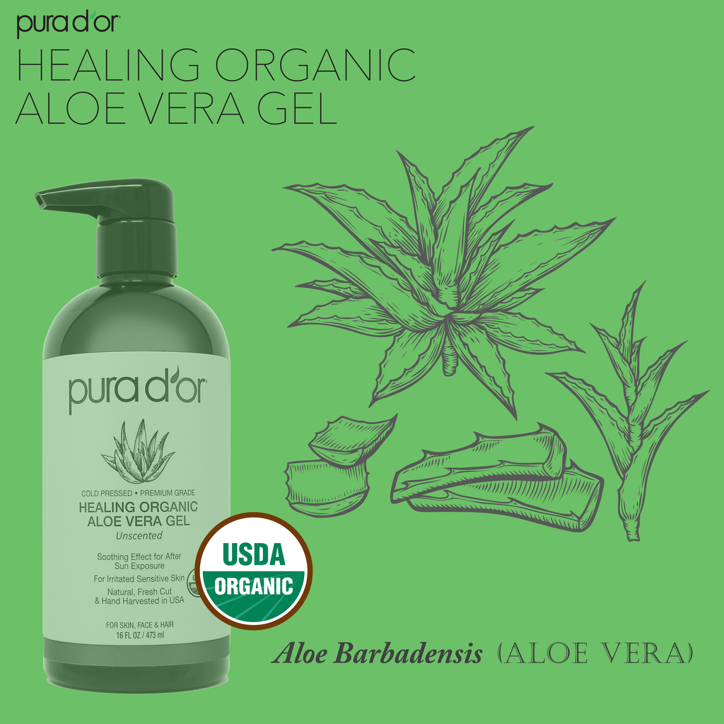 Healing Organic Aloe Vera Gel - Unscented 16oz