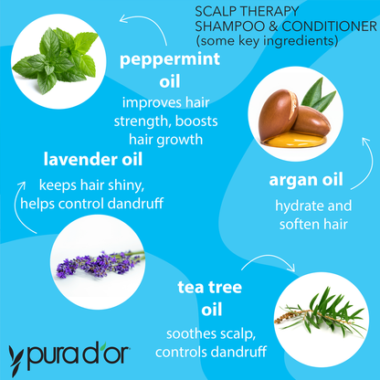 Scalp Therapy Shampoo 16 oz Aloe Vera Formula