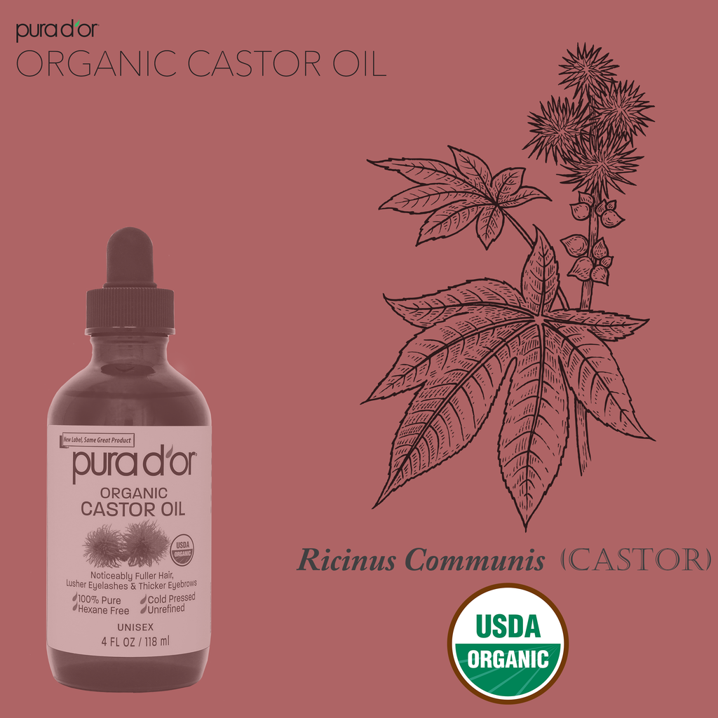 Castor Oil Includes 2 Empty Bonus Applicators - 100% Pure USDA Organic 4oz