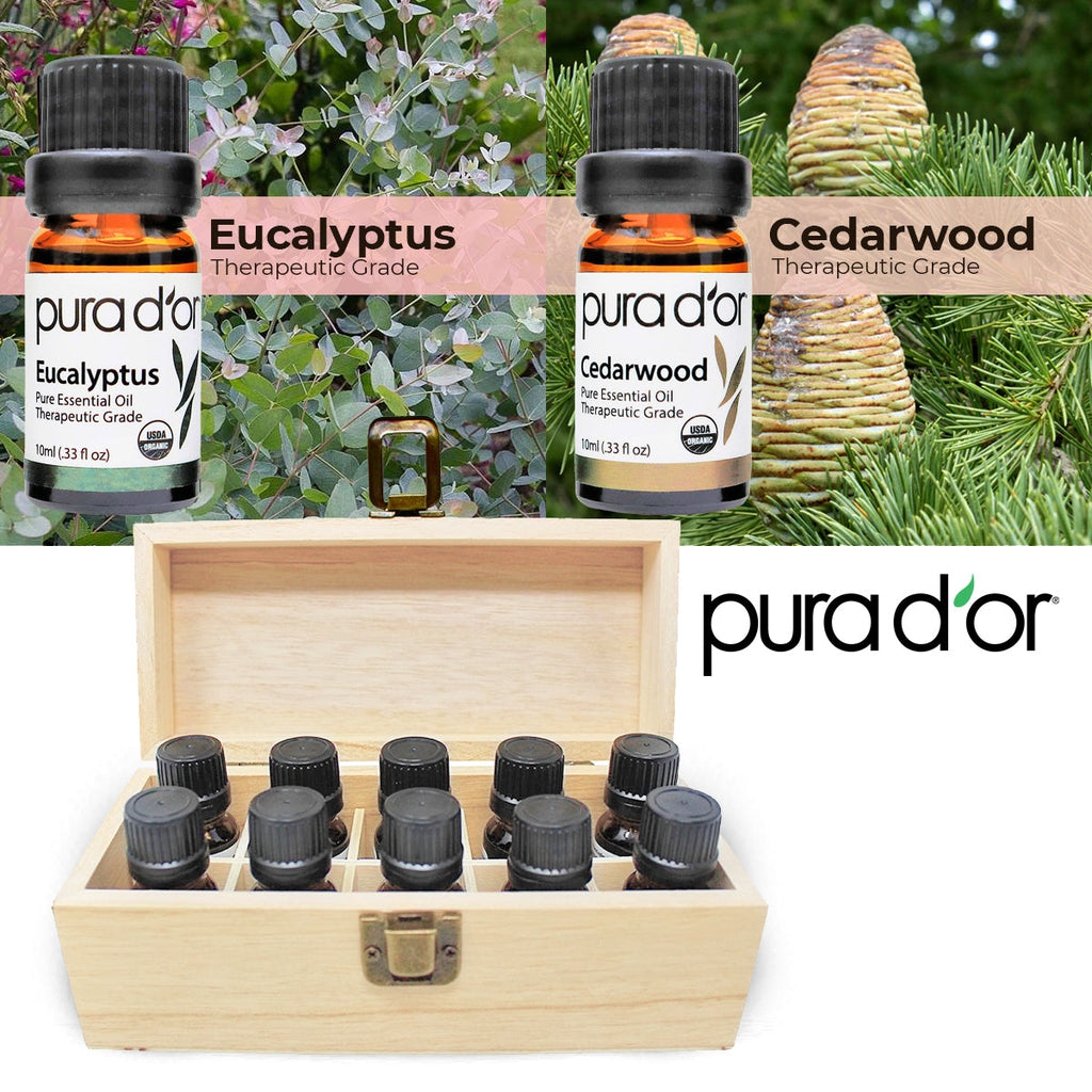 Perfect 10 Essential Oil Set - USDA Organic, 100% Pure, Natural, Therapeutic Grade 10 ml
